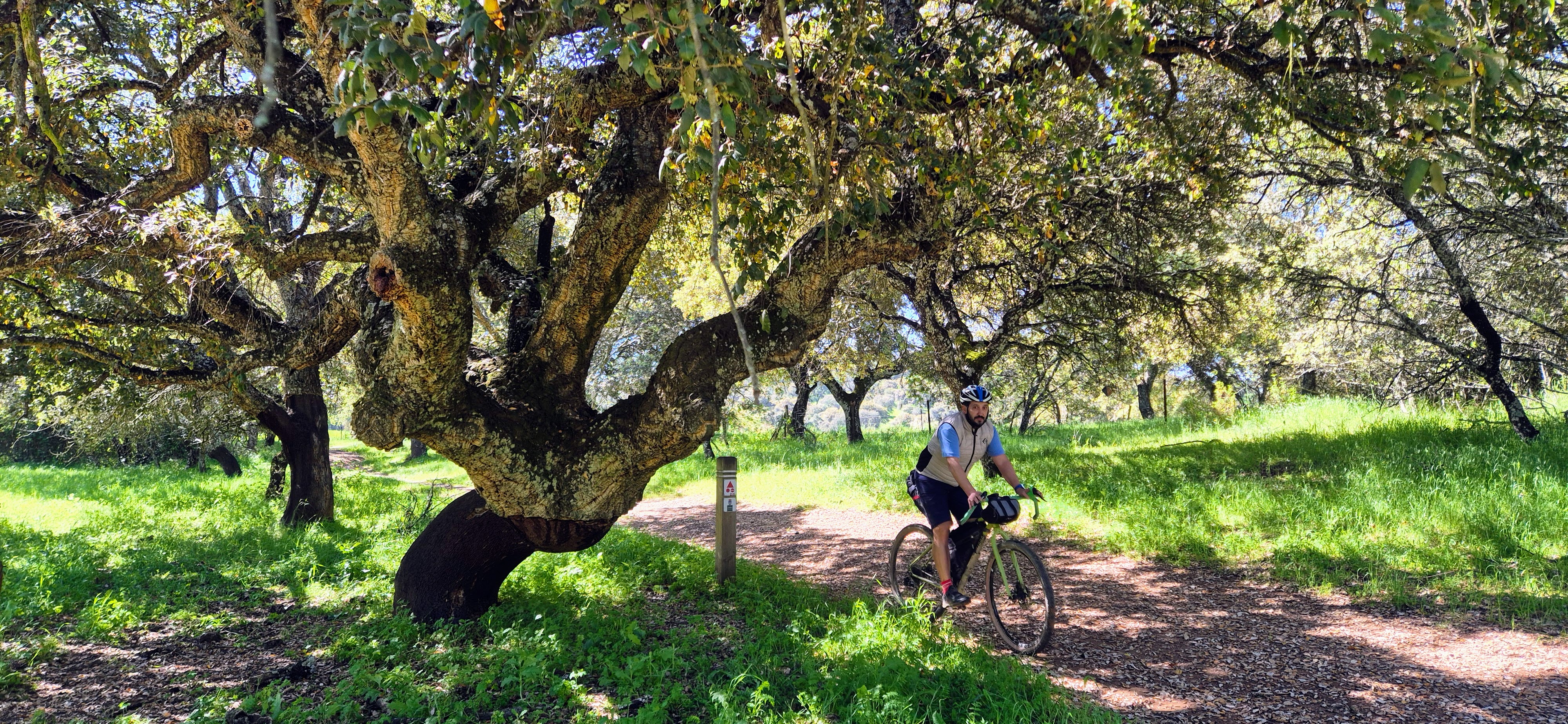 Cordel del Robledo - Paisaje Sierra Norte Sevilla