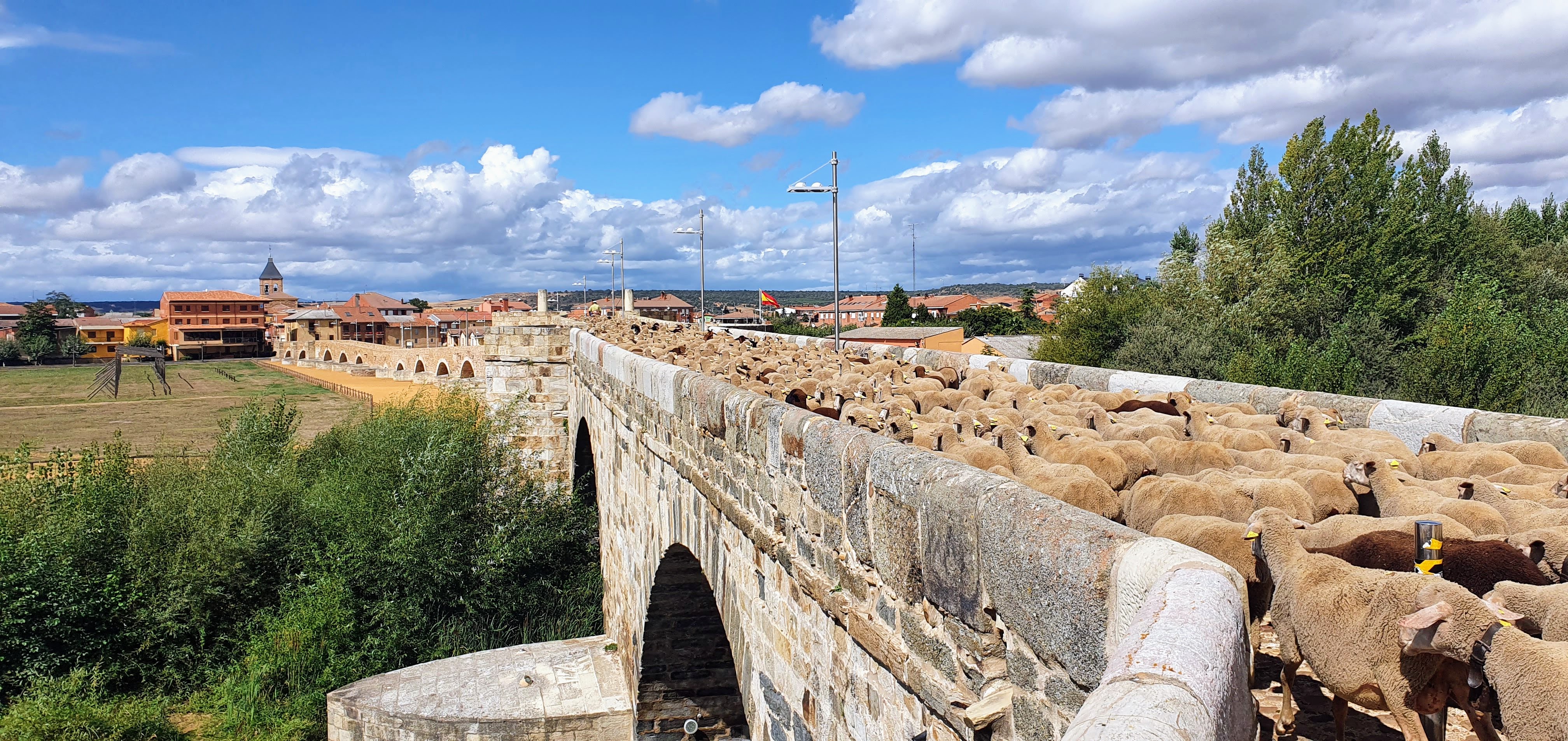 Puente del Paso Honroso (Hospital de Órbigo)