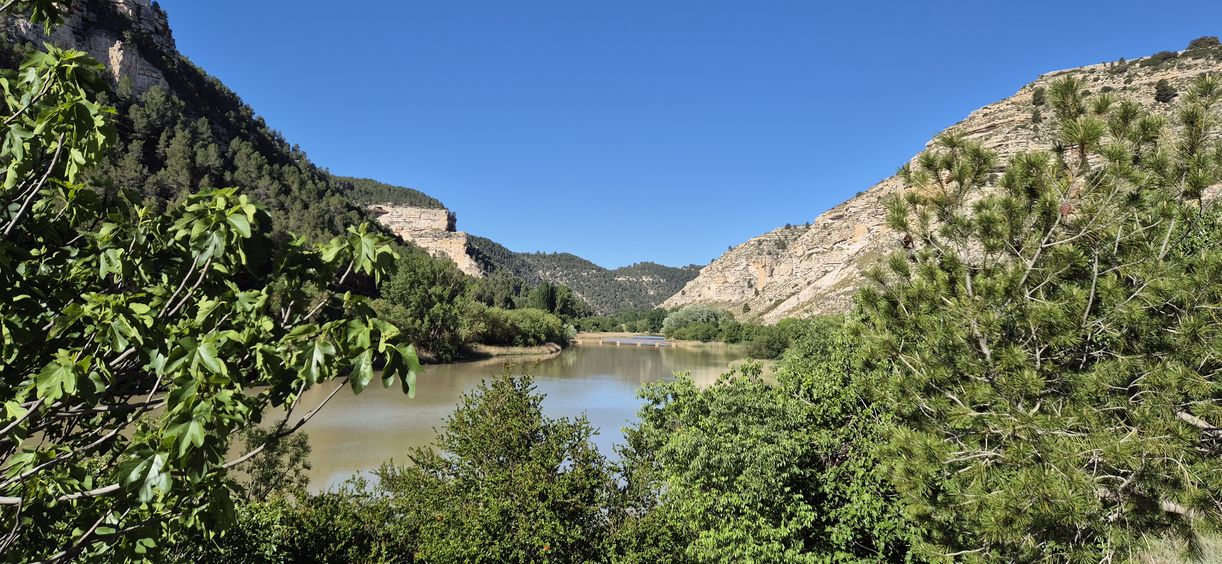 Tolosa