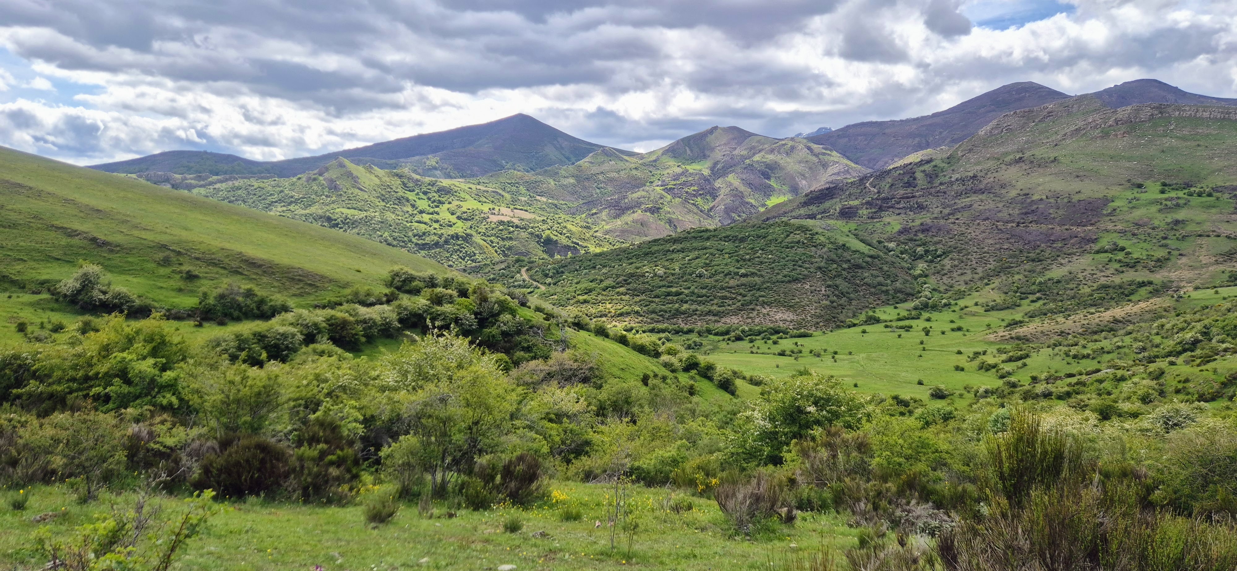 Abadía de Santa María de Lebanza