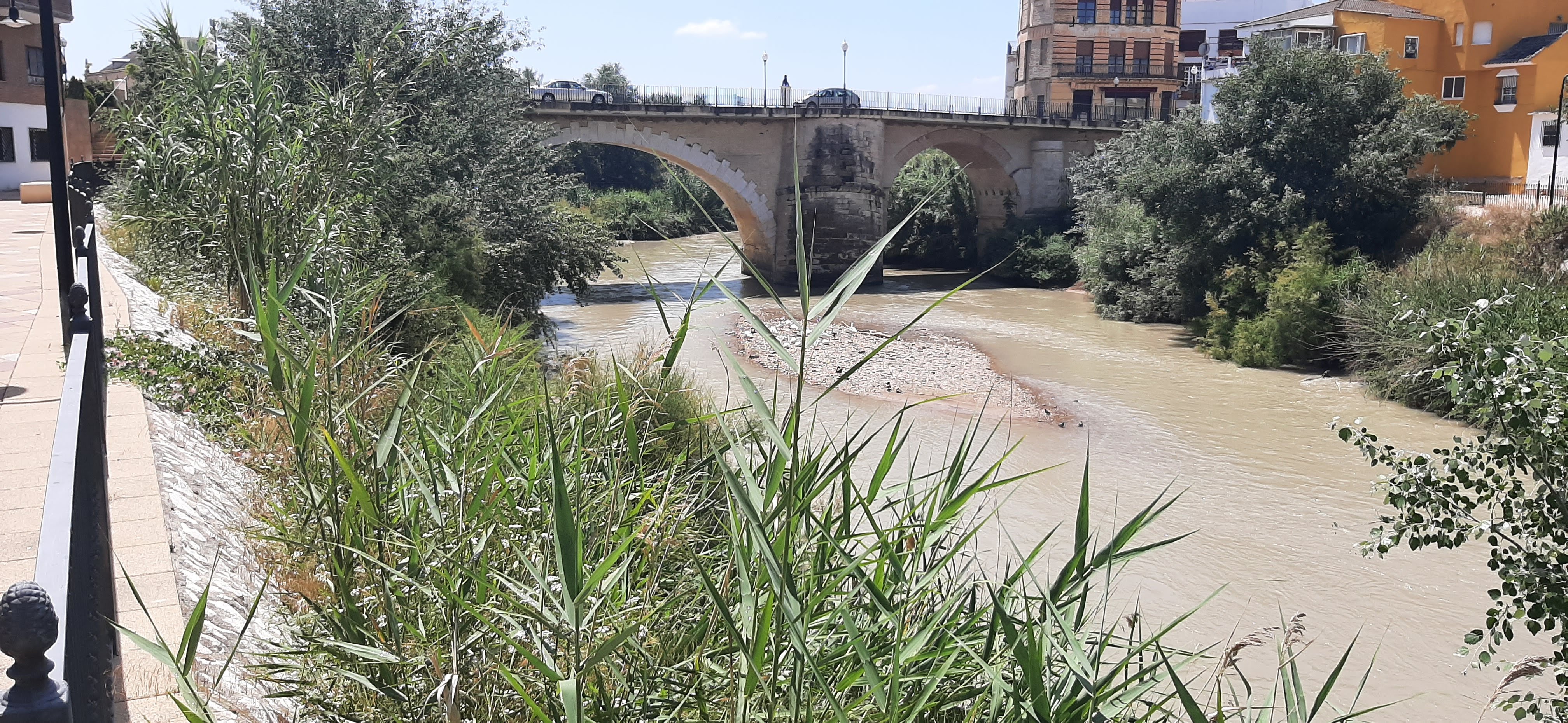 Puente Genil — capital del membrillo
